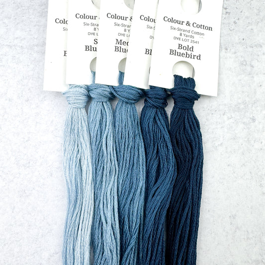 Gradient Thread Set Bluebird