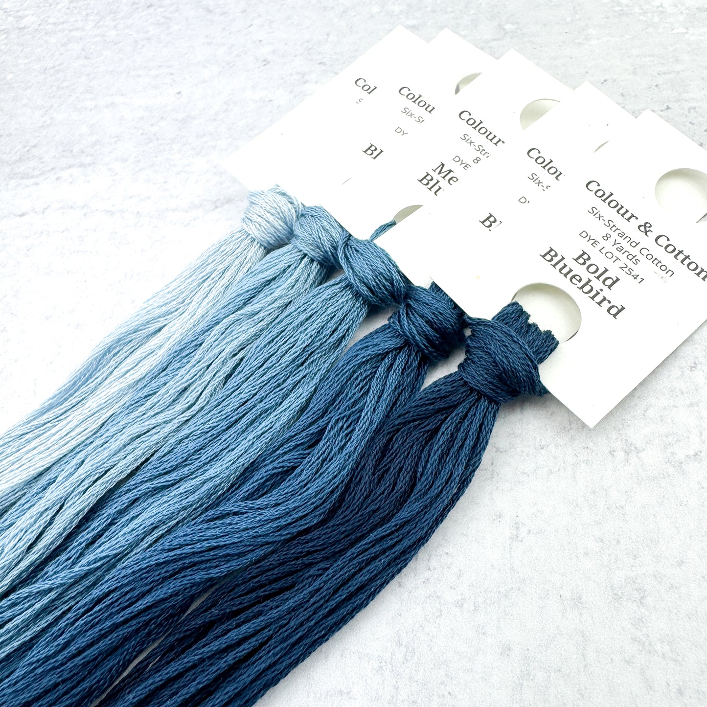 Gradient Thread Set Bluebird