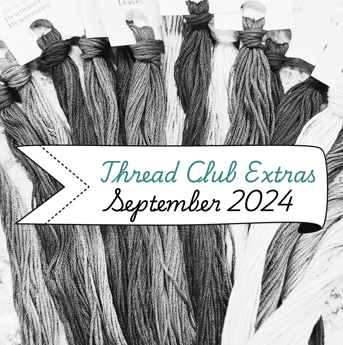 Extra Thread Club Skeins September 2024