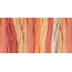 DMC Color Variations 4120 Tropical Sunset